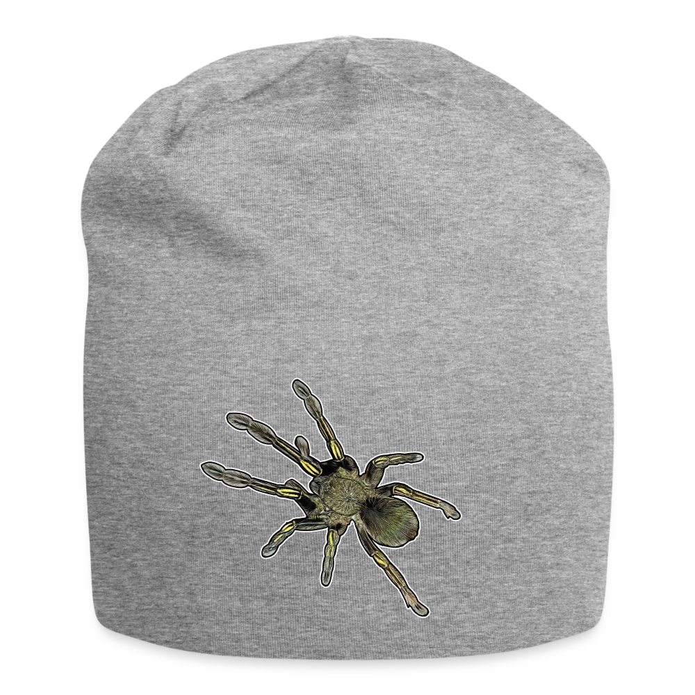 Jersey-Beanie Ephebopus murinus - Grau meliert