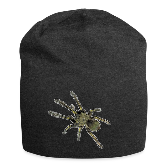 Jersey-Beanie Ephebopus murinus - Anthrazit