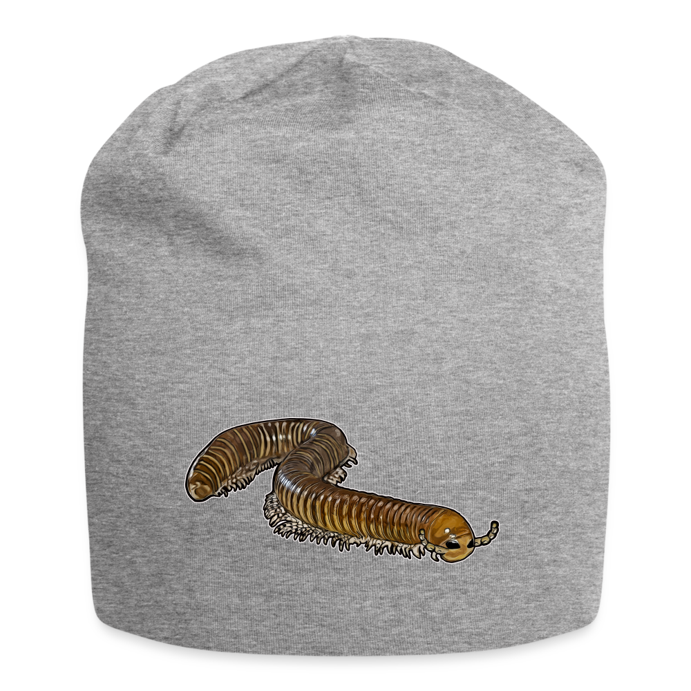 Jersey-Beanie Telodeinopus aoutii - Grau meliert