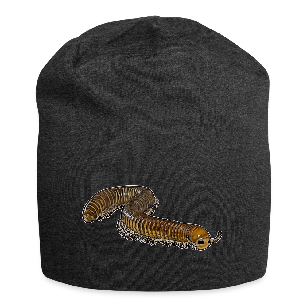 Jersey-Beanie Telodeinopus aoutii - Anthrazit