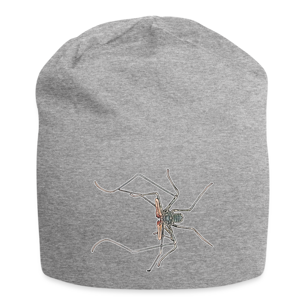 Jersey-Beanie Euphrynichus bacillifer - Grau meliert