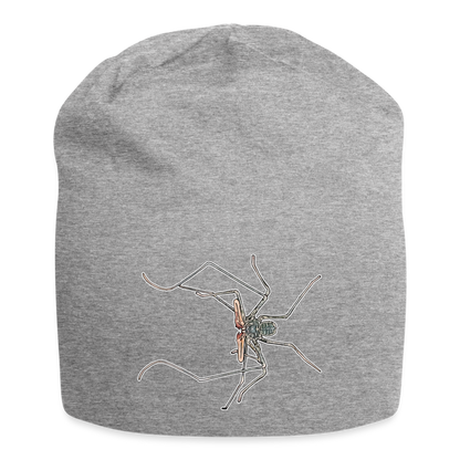 Jersey-Beanie Euphrynichus bacillifer - Grau meliert