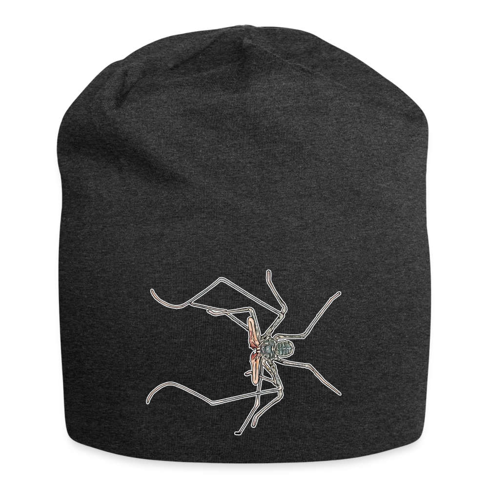 Jersey-Beanie Euphrynichus bacillifer - Anthrazit