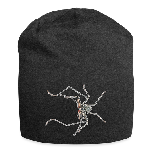 Jersey-Beanie Euphrynichus bacillifer - Anthrazit