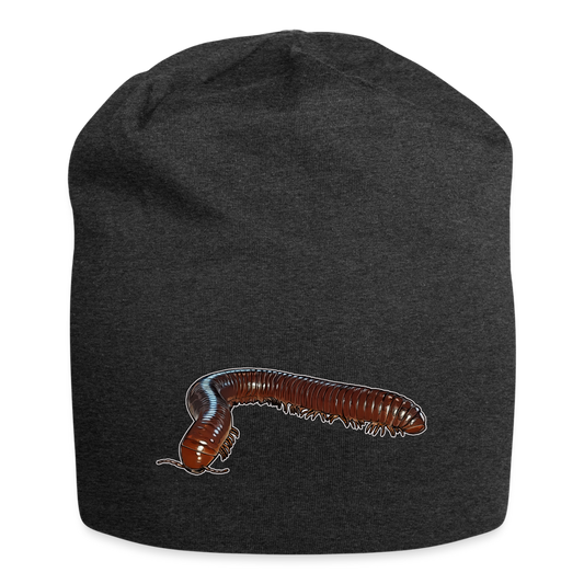 Jersey-Beanie Ophistreptus guineensis - Anthrazit