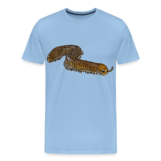 Männer Basic T-Shirt Telodeinopus aoutii - Sky
