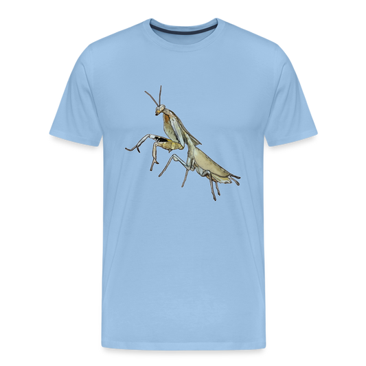 Männer Basic T-Shirt Deroplatys truncata female - Sky