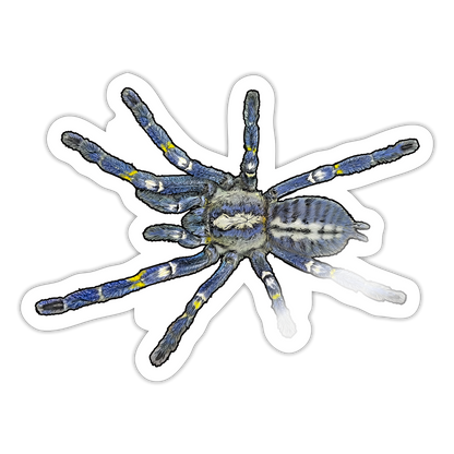 Sticker Poecilotheria metallica - Weiß glänzend