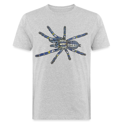 Männer Bio-T-Shirt Poecilotheria metallica - Grau meliert