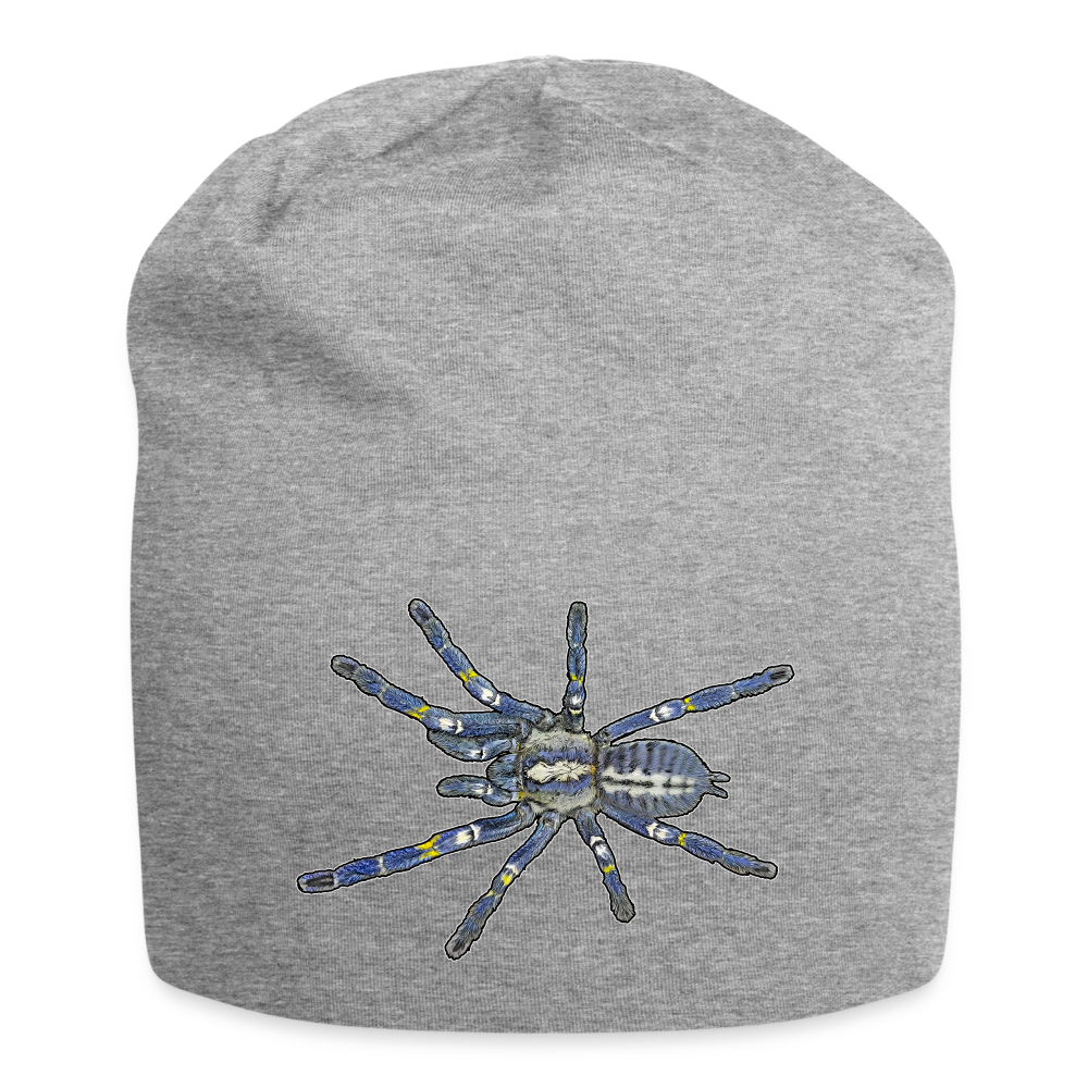 Jersey-Beanie Poecilotheria metallica - Grau meliert