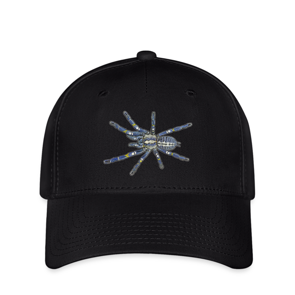 Flexfit Cap Poecilotheria metallica - Schwarz