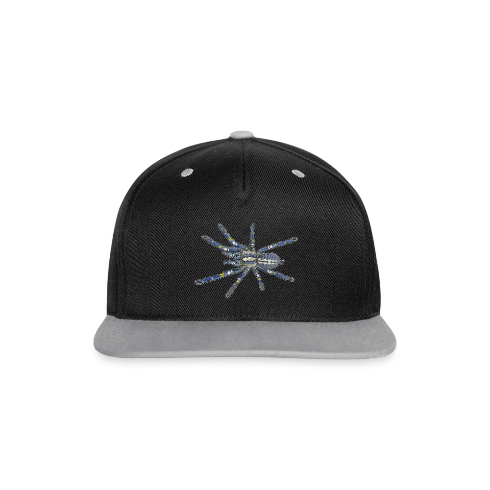 Cappy Kontrast Snapback Poecilotheria metallica - Schwarz/Grau