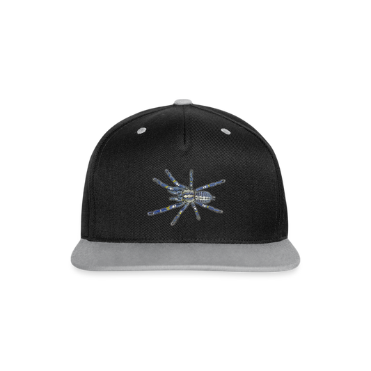 Cappy Kontrast Snapback Poecilotheria metallica - Schwarz/Grau