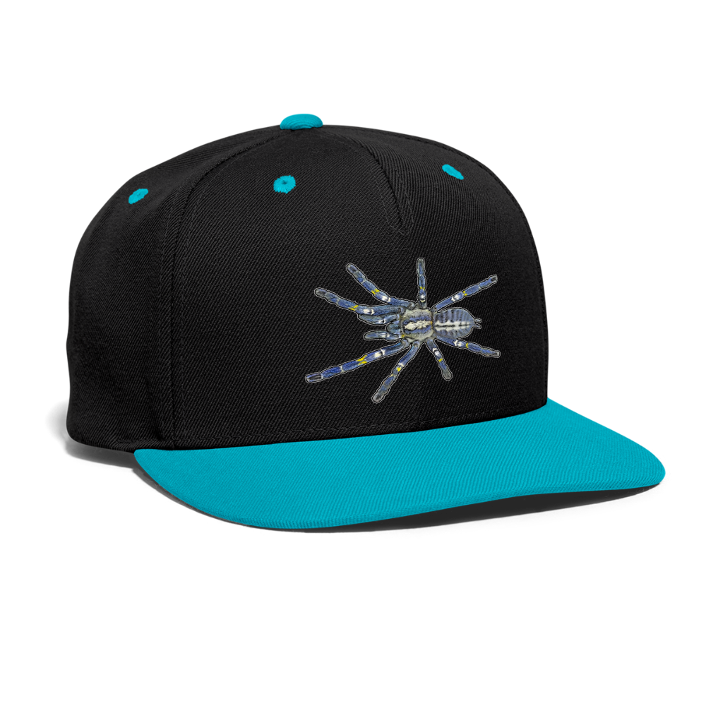 Cappy Kontrast Snapback Poecilotheria metallica - Schwarz/Türkis