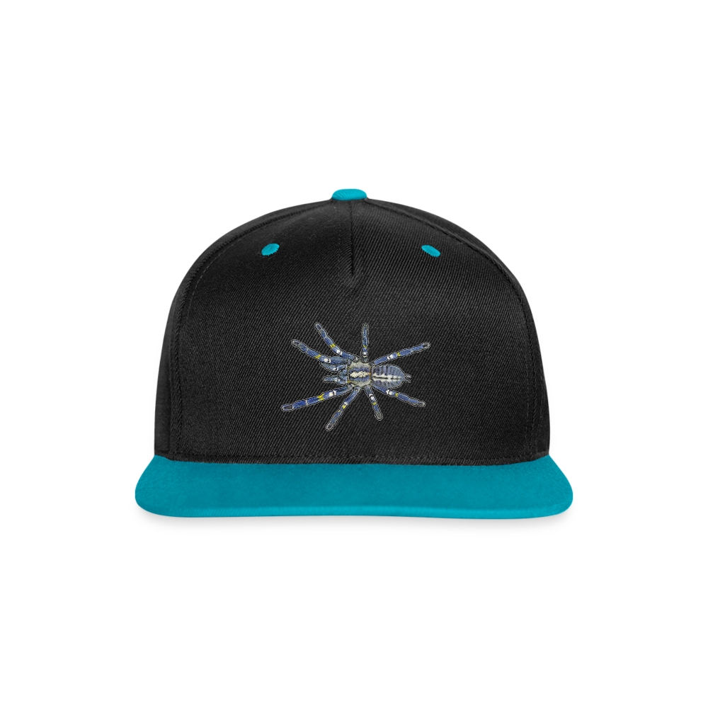 Cappy Kontrast Snapback Poecilotheria metallica - Schwarz/Türkis