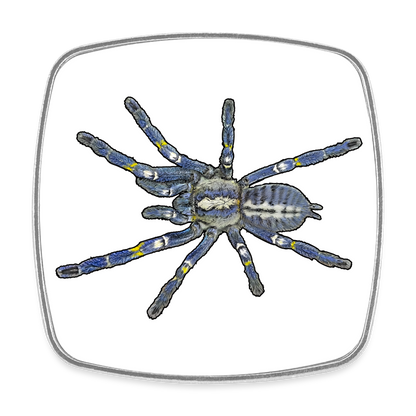 Kühlschrankmagnet eckig Poecilotheria metallica - weiß