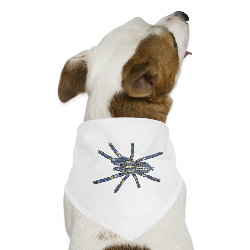 Hunde-Bandana Poecilotheria metallica - weiß