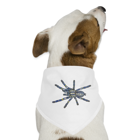 Hunde-Bandana Poecilotheria metallica - weiß
