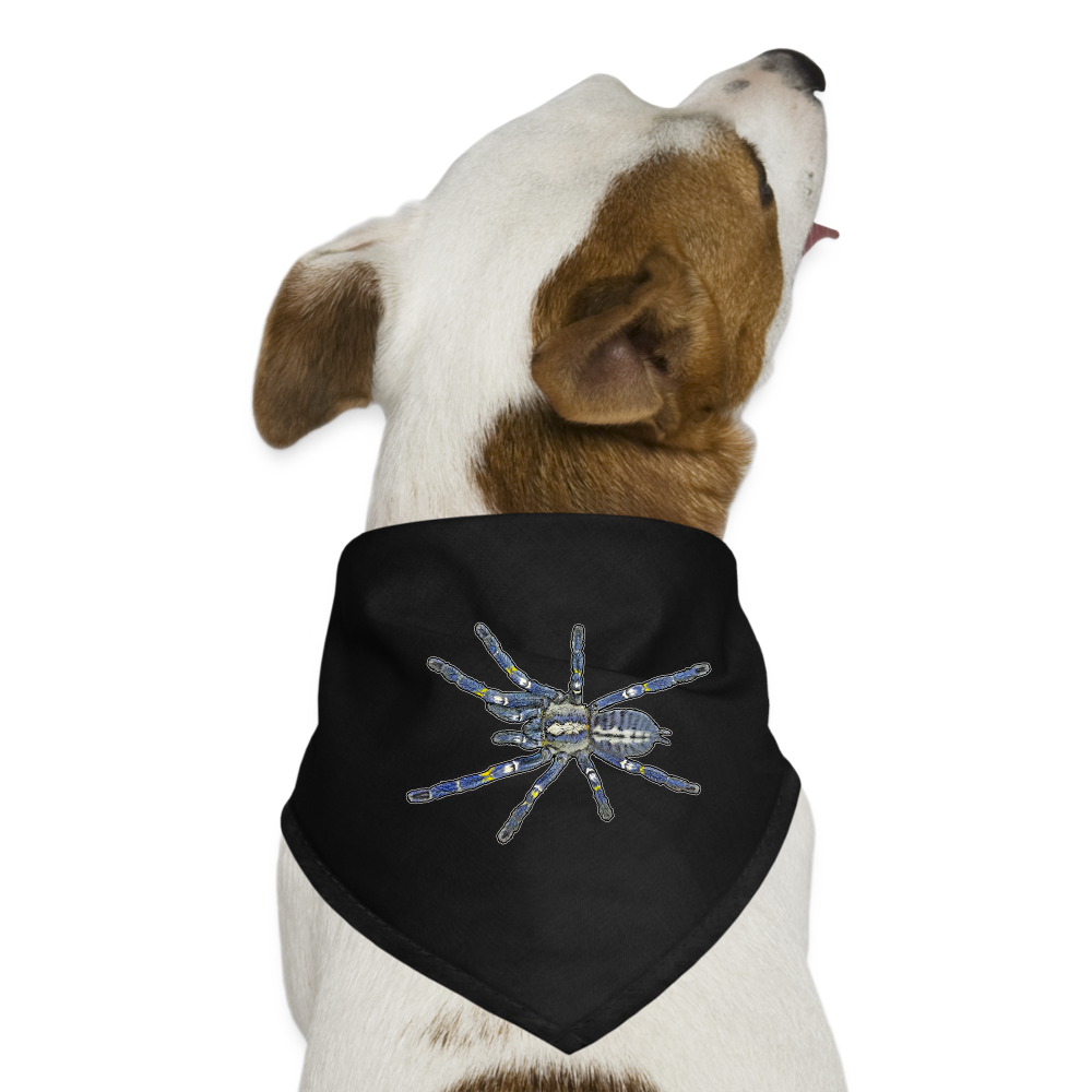 Hunde-Bandana Poecilotheria metallica - Schwarz