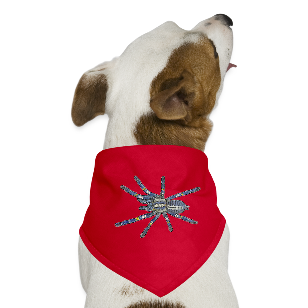Hunde-Bandana Poecilotheria metallica - Rot