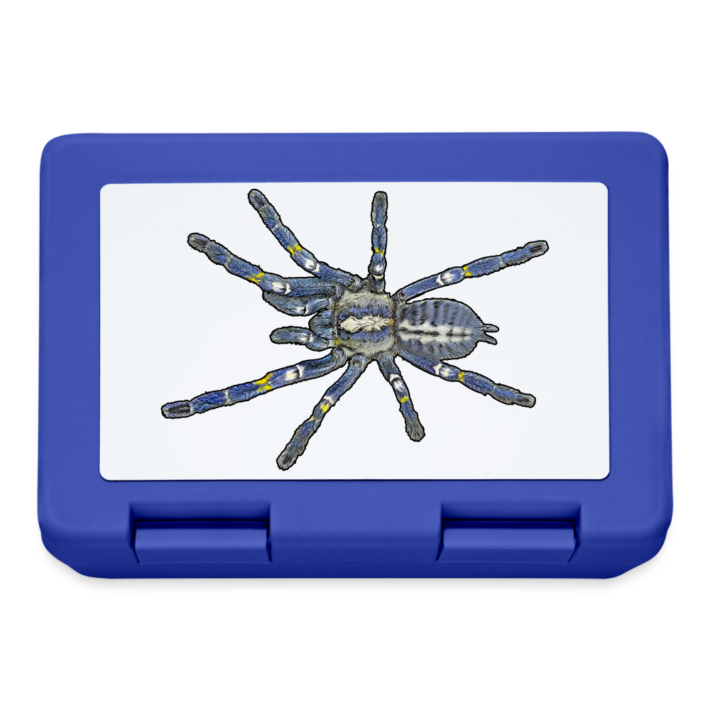 Lunchbox Poecilotheria metallica - Royalblau