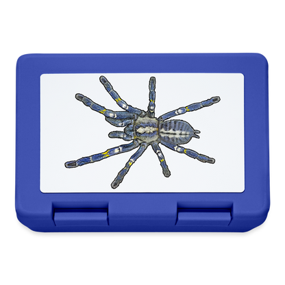 Lunchbox Poecilotheria metallica - Royalblau