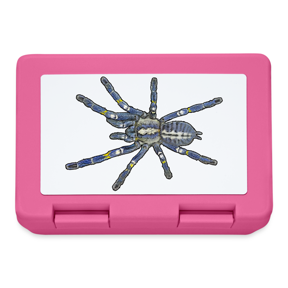Lunchbox Poecilotheria metallica - Pink