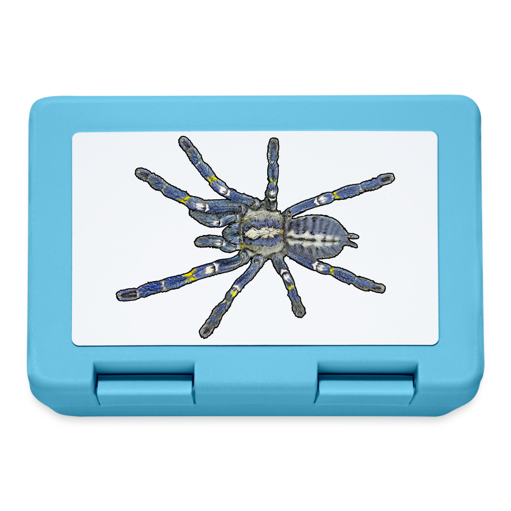 Lunchbox Poecilotheria metallica - Saphirblau
