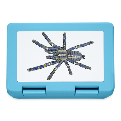 Lunchbox Poecilotheria metallica - Saphirblau
