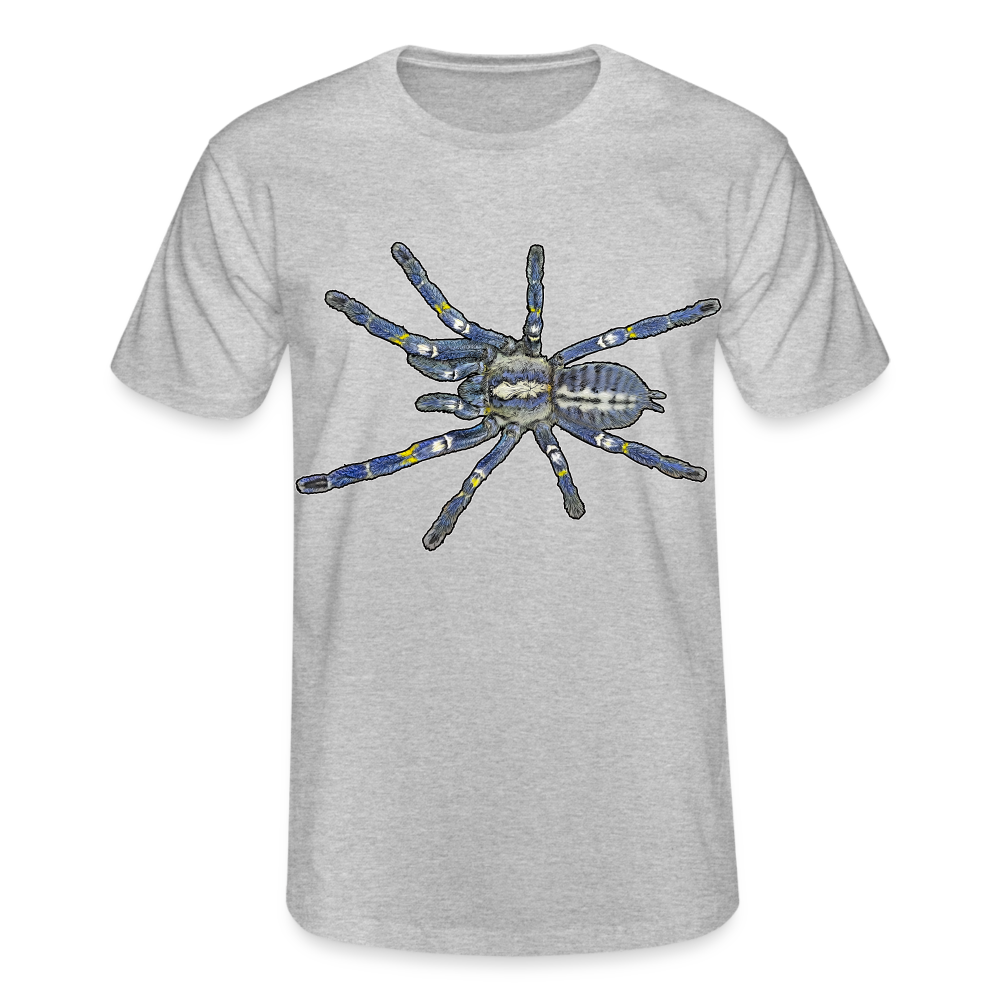 Männer Fruit of the Loom T-Shirt Poecilotheria metallica - Grau meliert