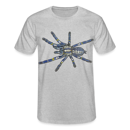 Männer Fruit of the Loom T-Shirt Poecilotheria metallica - Grau meliert