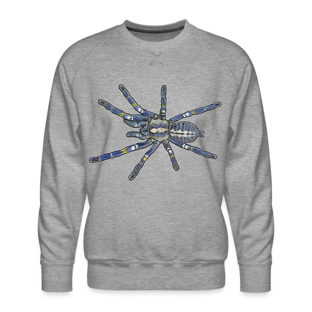 Männer Pullover Poecilotheria metallica - Grau meliert