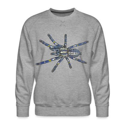 Männer Pullover Poecilotheria metallica - Grau meliert