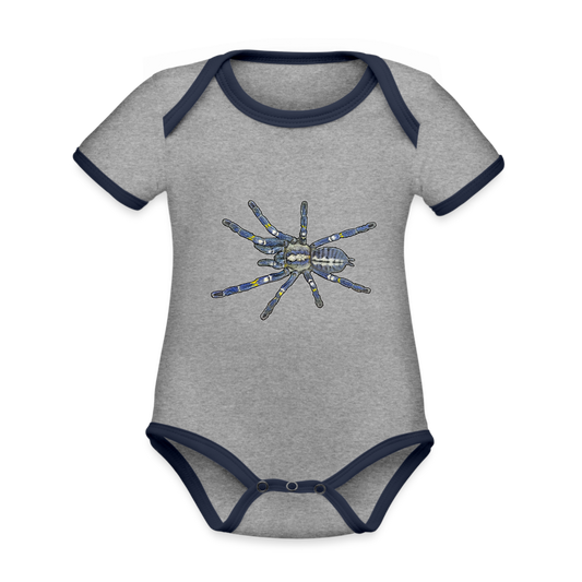 Baby Bio Kontrastbody kurz Poecilotheria metallica - Grau meliert/Navy