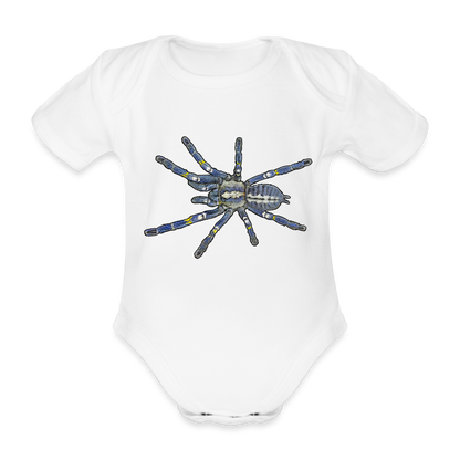Baby Bio Body kurz Poecilotheria metallica - weiß