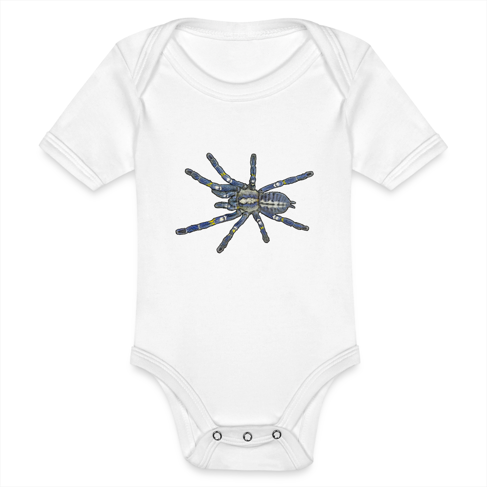 Baby Bio Body kurz Poecilotheria metallica - weiß