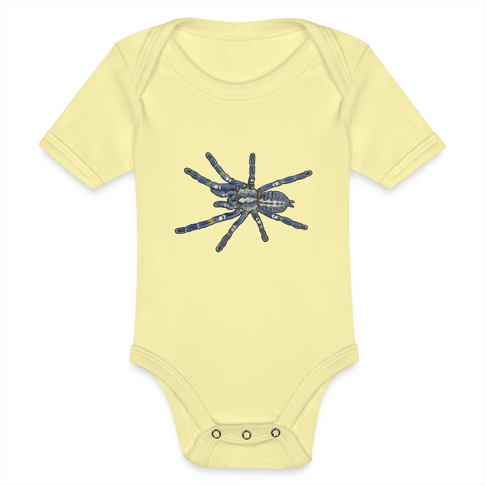 Baby Bio Body kurz Poecilotheria metallica - Hellgelb