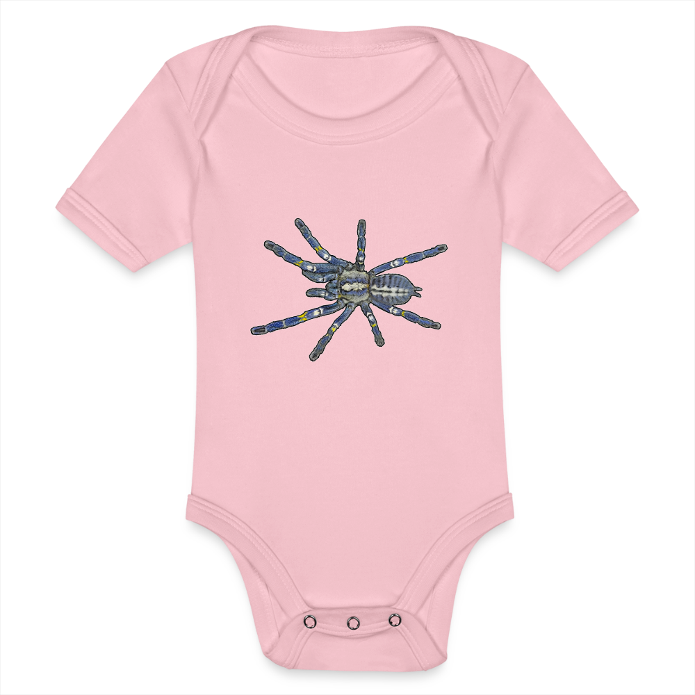 Baby Bio Body kurz Poecilotheria metallica - Hellrosa