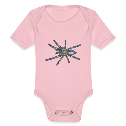 Baby Bio Body kurz Poecilotheria metallica - Hellrosa