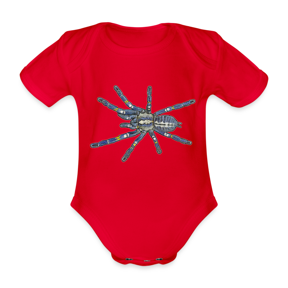 Baby Bio Body kurz Poecilotheria metallica - Rot