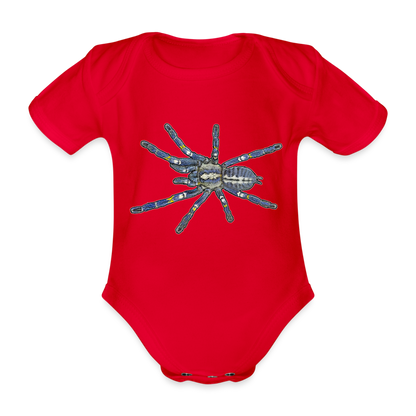 Baby Bio Body kurz Poecilotheria metallica - Rot
