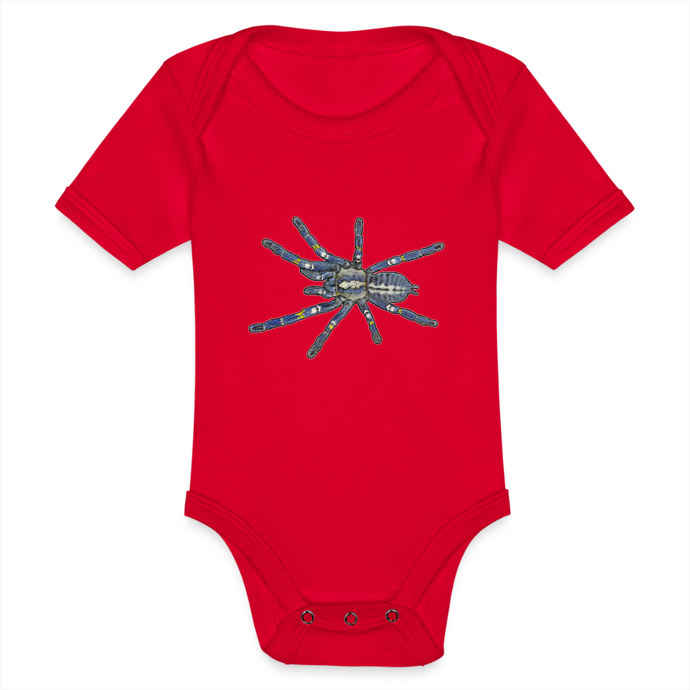 Baby Bio Body kurz Poecilotheria metallica - Rot