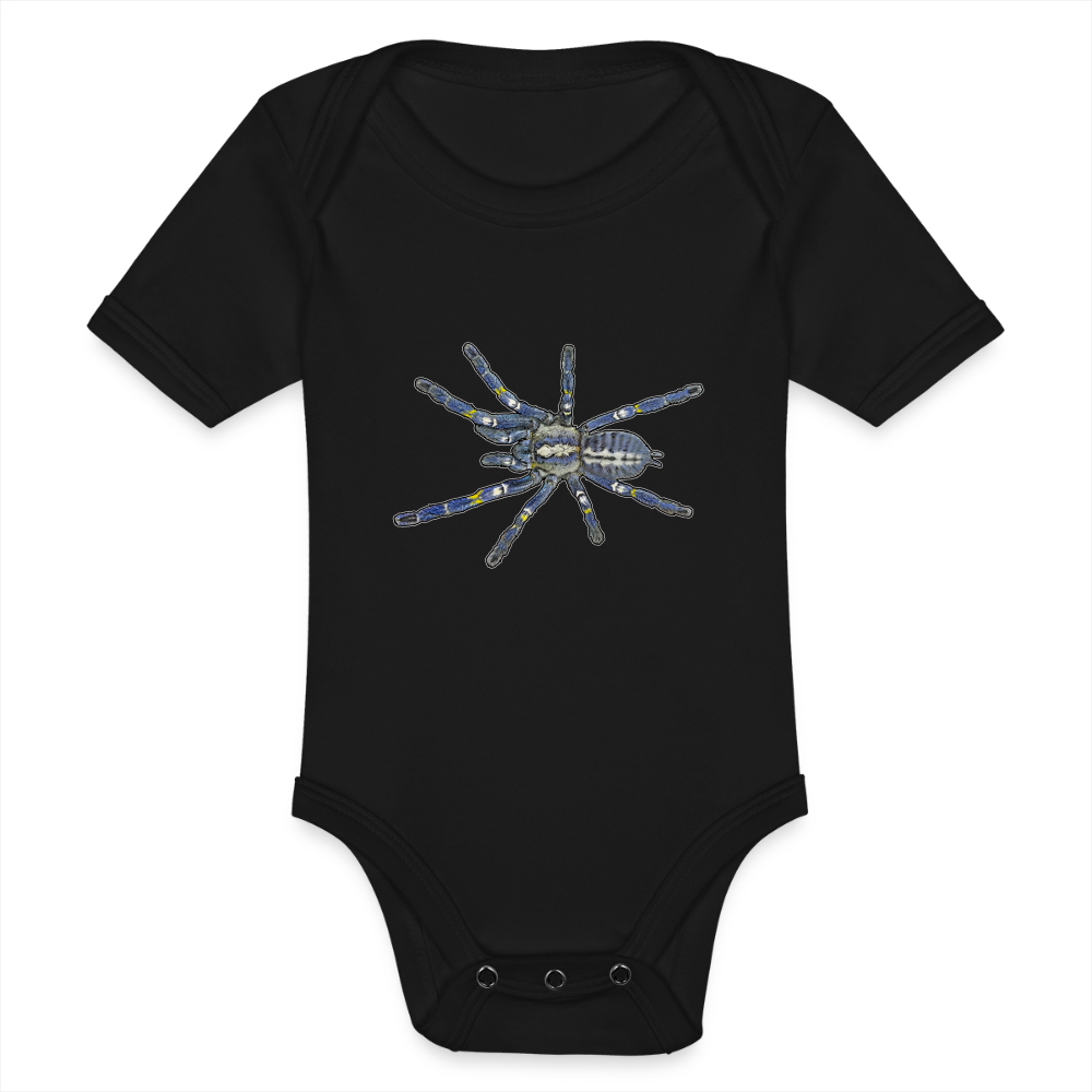 Baby Bio Body kurz Poecilotheria metallica - Schwarz