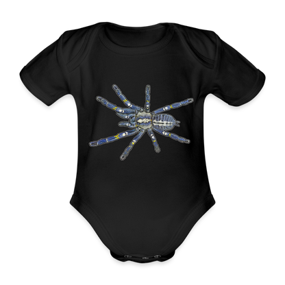 Baby Bio Body kurz Poecilotheria metallica - Schwarz