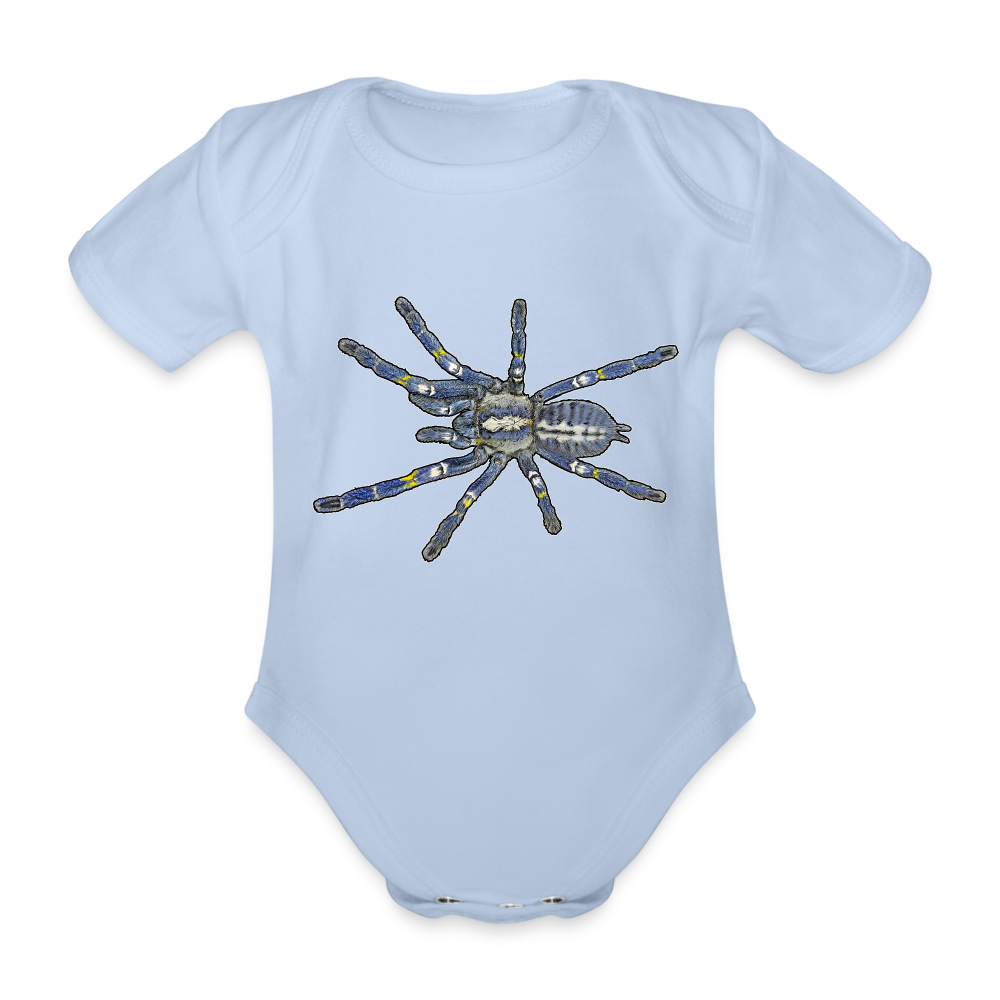 Baby Bio Body kurz Poecilotheria metallica - Sky