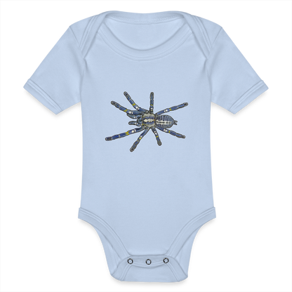Baby Bio Body kurz Poecilotheria metallica - Sky