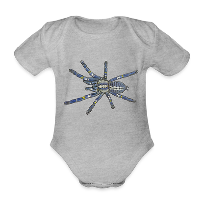 Baby Bio Body kurz Poecilotheria metallica - Grau meliert