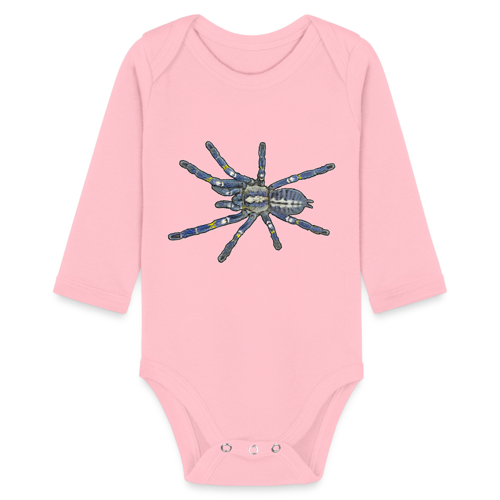 Baby Bio Body lang Poecilotheria metallica - Hellrosa