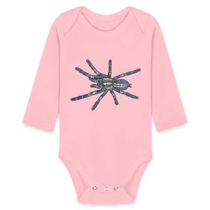 Baby Bio Body lang Poecilotheria metallica - Hellrosa