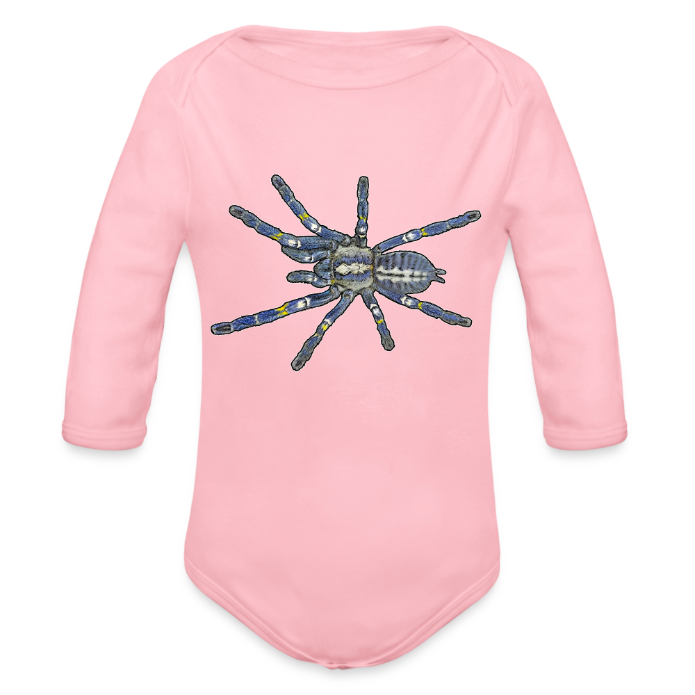 Baby Bio Body lang Poecilotheria metallica - Hellrosa